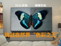 挑战自然界的“色彩之王”!当TCL X11L电视遇上最明亮绚丽的蝴蝶