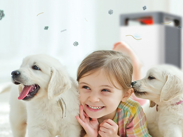 如何应对换季空气问题?首先家里要有台空气净化器