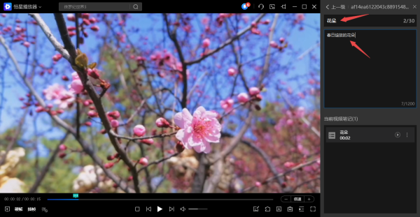 电脑视频能记笔记吗_哪款软件能给视频添加笔记
