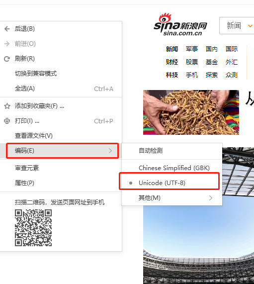 搜狗浏览器打不开网页怎么办_网页显示异常怎么办