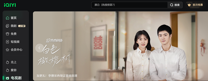 电视剧《白色橄榄树》