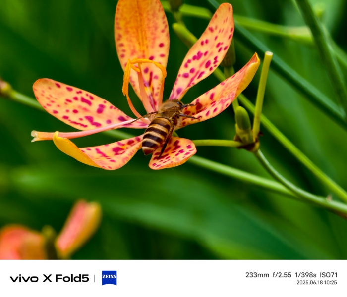 全球最轻大折叠vivo X Fold5评测:iPhone生态就是V的生态