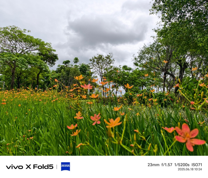 全球最轻大折叠vivo X Fold5评测:iPhone生态就是V的生态