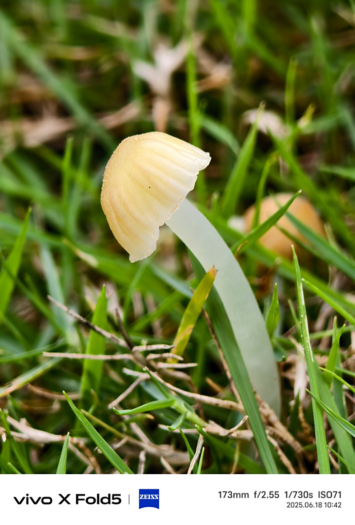 全球最轻大折叠vivo X Fold5评测:iPhone生态就是V的生态