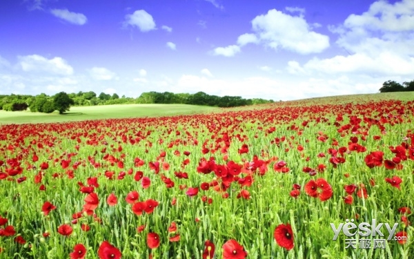 全能教学帮手 卡西欧超短焦投影 XJ-UC350WN评测