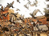 ͼ������:2015������ϲ����Ӱ��Ʒ