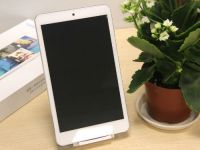 ������˿����