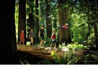 ��������Ӱ������ı���