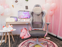 Ů DXRACER˹AIRŮ羺