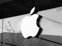 ߲𵴣ĳ ˲ʧ ƻ֯ع