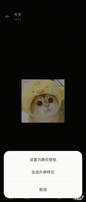 һƼ淨㡱OPPO Find N2 Flip治ֹڴ