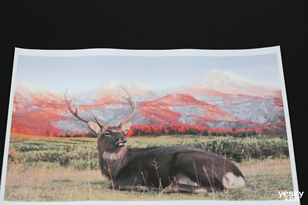 �����ɫ�ʱ��� Brother HL-3160CDW��ɫ�����ӡ������