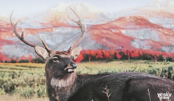 �����ɫ�ʱ��� Brother HL-3160CDW��ɫ�����ӡ������