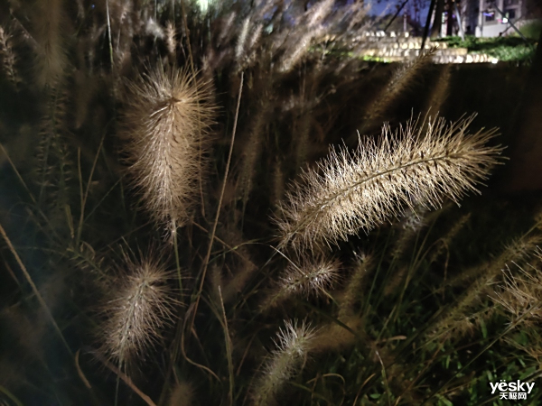 ٳ߸ͷһ iQOO Neo 855ֻ