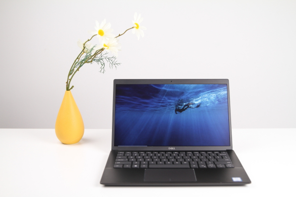 �������������ȷ� ����Latitude 3301���ñ�����