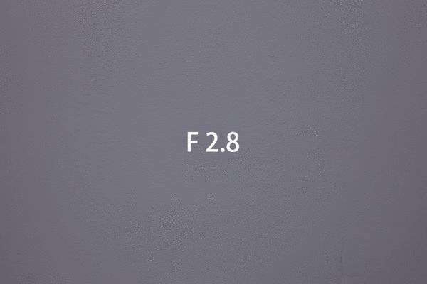 ר΢ĳ RF70-200mm F2.8 L IS USM