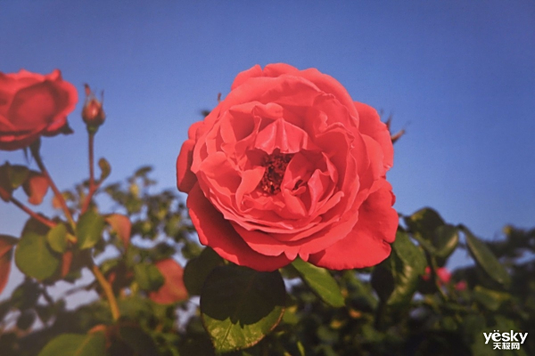 SMBֻ칫 Ῠܴbizhub C286iɫ๦ܸϻ