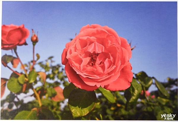 Զӡ Brother DCP-T425Wɫī๦һ