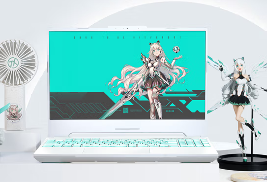 ˫ʮһ��̨�±ʼǱ� �������ѡ�Զ������