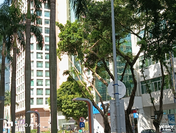 OPPO A2⣺ʵʵĺƷʣǧԪ֮Ĵڴֻ