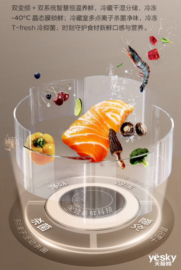 0ζζջܳϴϴ»ԾɻƼ