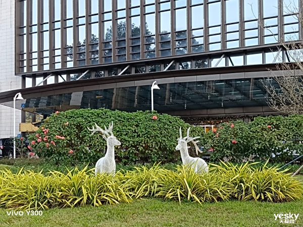 ڴͬλѡvivo Y300