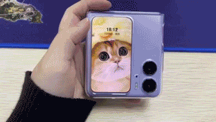 һƼ淨㡱OPPO Find N2 Flip治ֹڴ