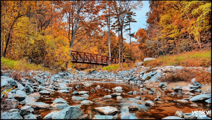 ʵּõռ TCL QD-Mini LED콢X11H