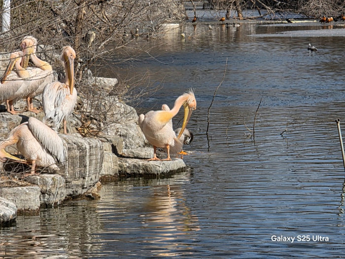 Galaxy S25 Ultraʹ飺AIܸӷḻӰȶ