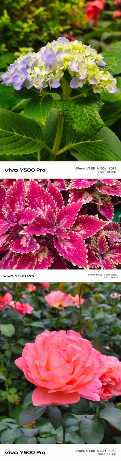 С콢vivo Y500 ProӰ+OriginOS 6