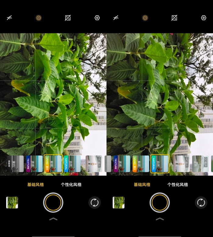 С콢vivo Y500 ProӰ+OriginOS 6