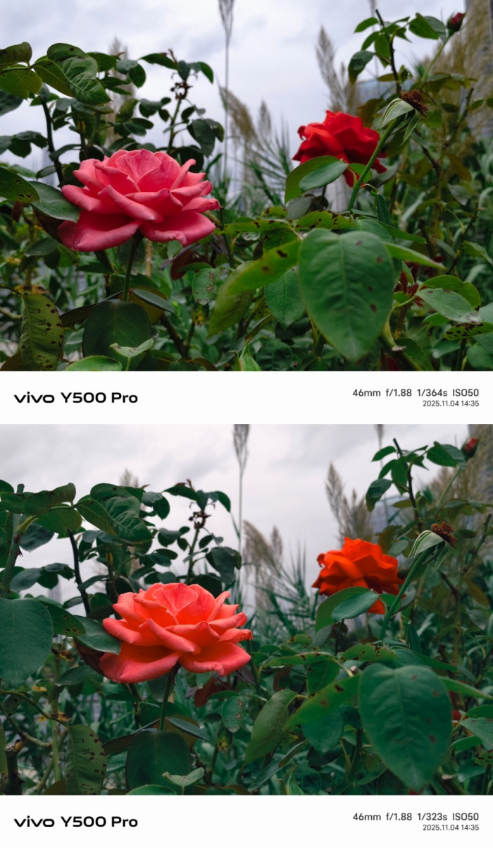 С콢vivo Y500 ProӰ+OriginOS 6