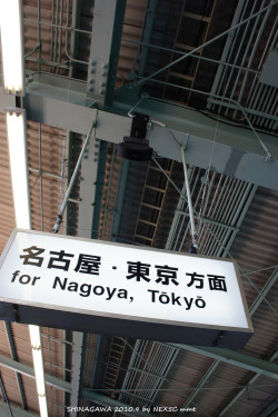 ��ʽ�������顱 ǧ��֮��ֱ�������ܲ�