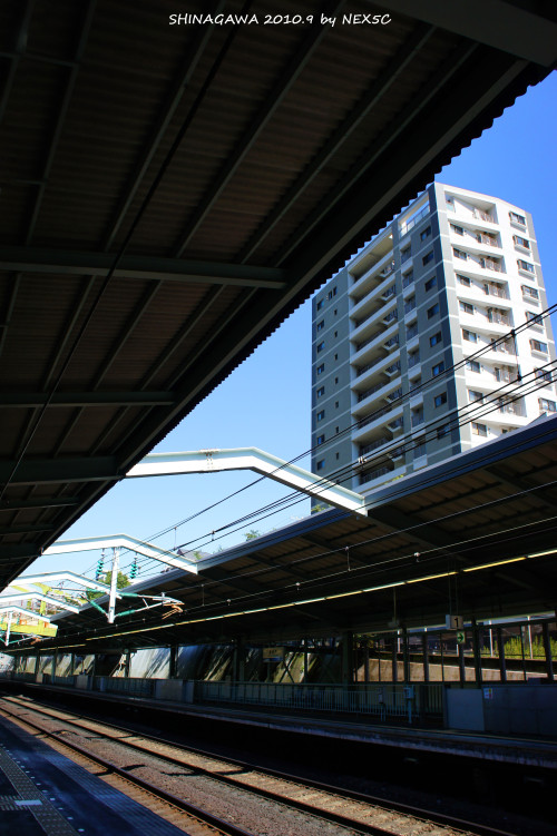 ��ʽ�������顱 ǧ��֮��ֱ�������ܲ�