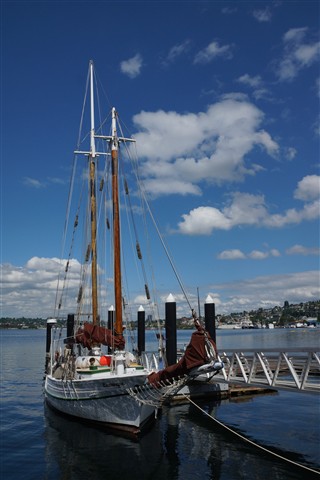 ����ĥһ�� �����77���������ý���ټ���