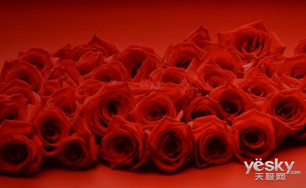 3DӽNEC NP-V302WCЯͶӰ