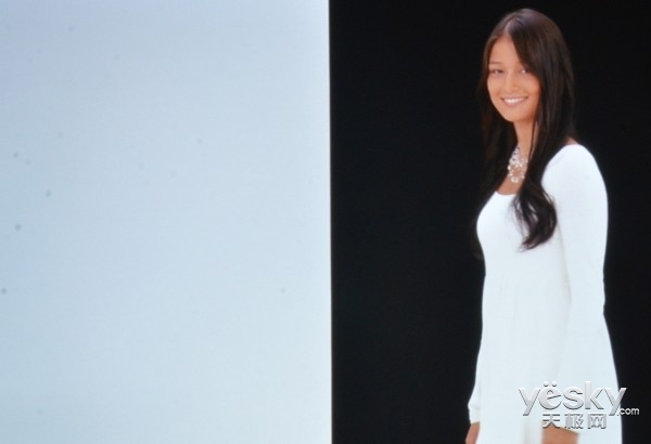 3DӽNEC NP-V302WCЯͶӰ