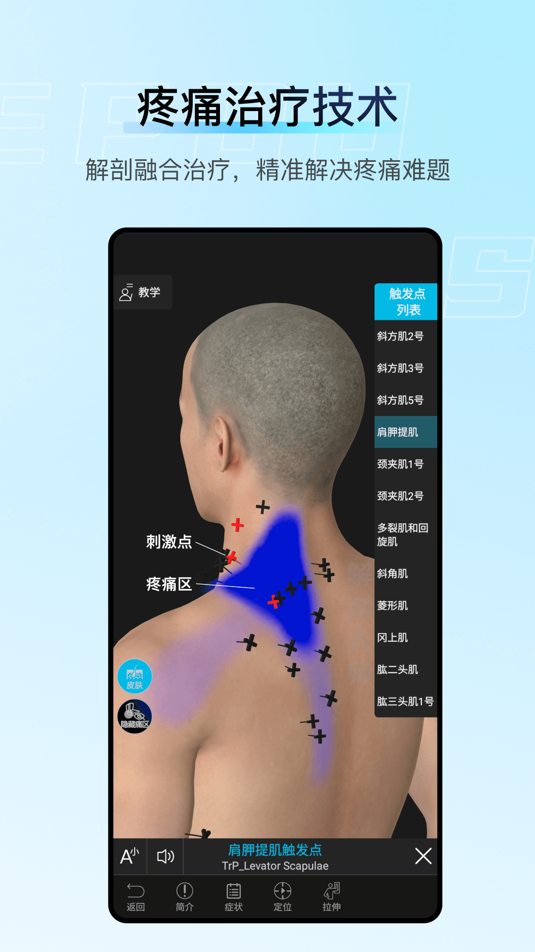 ���ʴ�ʦ��ͼ2