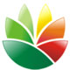 EximiousSoft Logo Designerv3.90ٷʽ