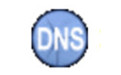 Simple DNS Plus