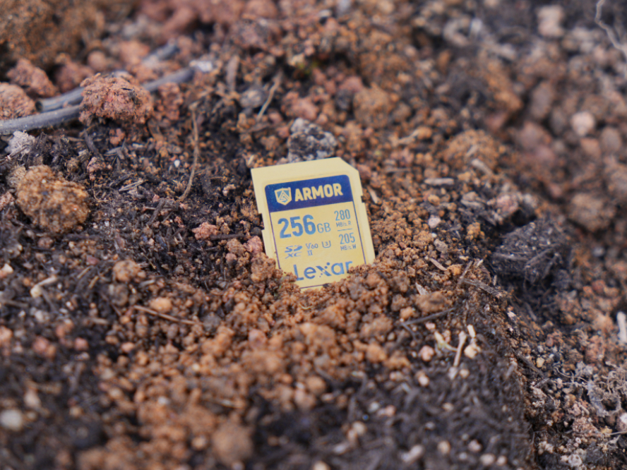 雷克沙ARMOR GOLD SDXC™ UHS-II 存储卡评测：性能卓越、防护超强