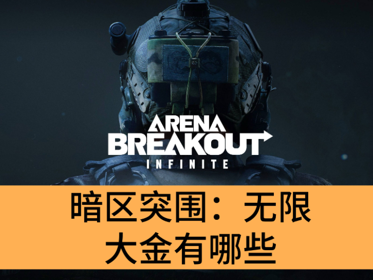 暗区突围：无限大金有哪些_暗区突围：无限大金详解